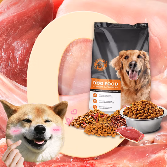 Hot Sale Factory Supply Nutritional Supplement Food Grade 99% C5h9no3 L-Hydroxyproline Powder CAS 51-35-4 Hydroxyproline Chemical Raw Material for Health Care