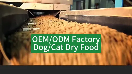 Hot Sale Factory Supply Nutritional Supplement Food Grade 99% C5h9no3 L-Hydroxyproline Powder CAS 51-35-4 Hydroxyproline Chemical Raw Material for Health Care